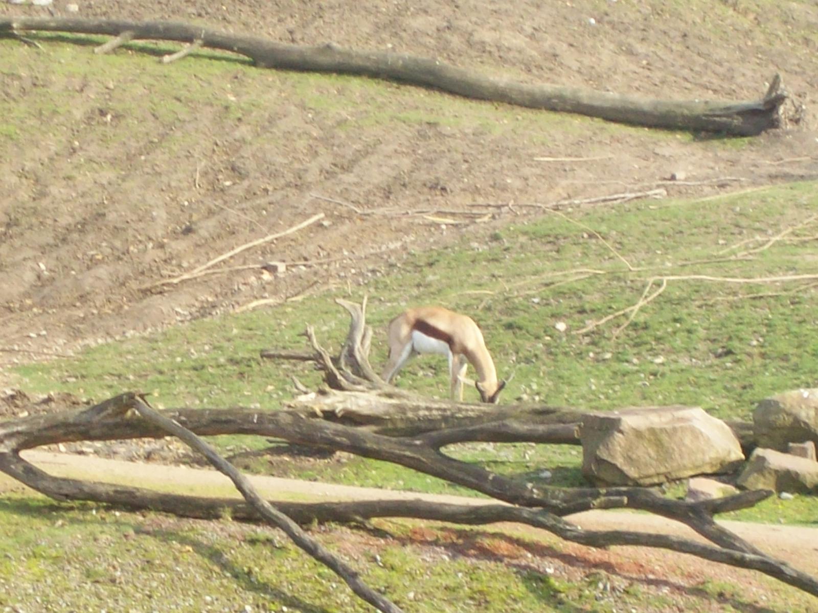 Zoom 18.10.2008-069.jpg